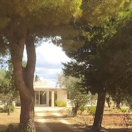 Trullo Contrada Specchi Διαμέρισμα Racale Εξωτερικό φωτογραφία