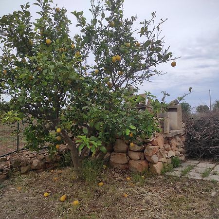 Trullo Contrada Specchi Διαμέρισμα Racale Εξωτερικό φωτογραφία