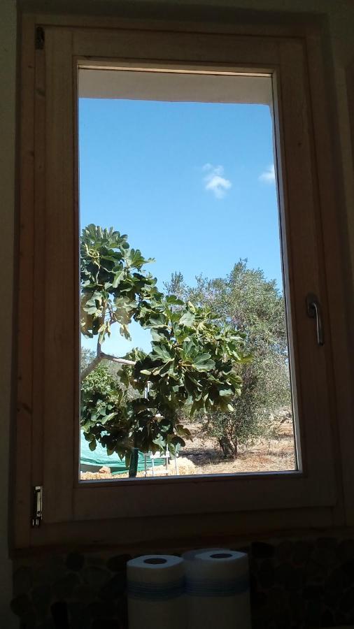 Trullo Contrada Specchi Διαμέρισμα Racale Εξωτερικό φωτογραφία