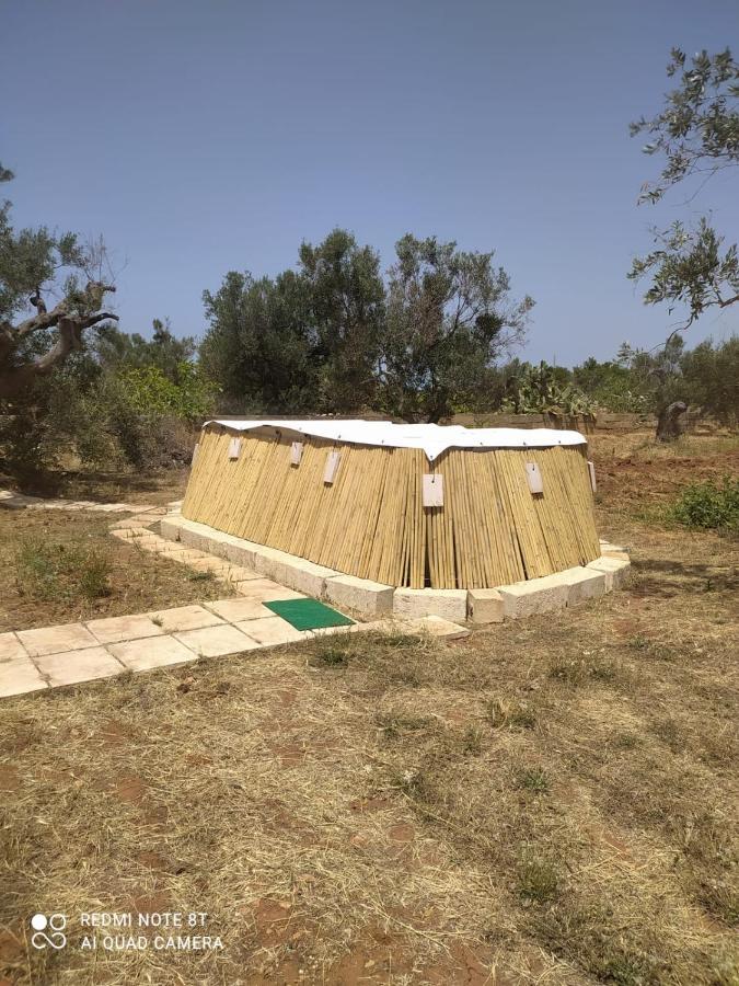Trullo Contrada Specchi Διαμέρισμα Racale Εξωτερικό φωτογραφία
