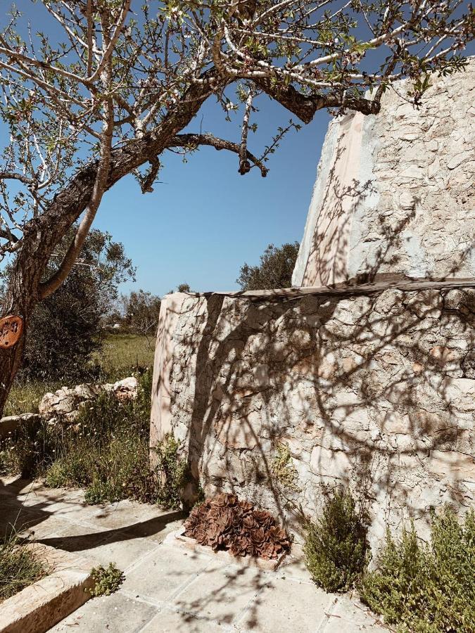 Trullo Contrada Specchi Διαμέρισμα Racale Εξωτερικό φωτογραφία