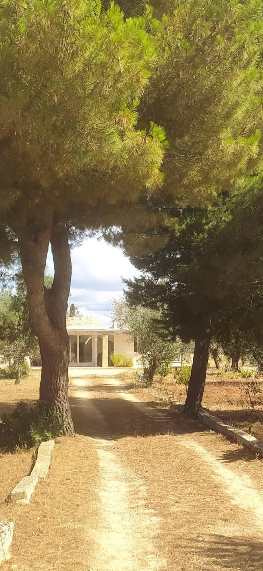 Trullo Contrada Specchi Διαμέρισμα Racale Εξωτερικό φωτογραφία