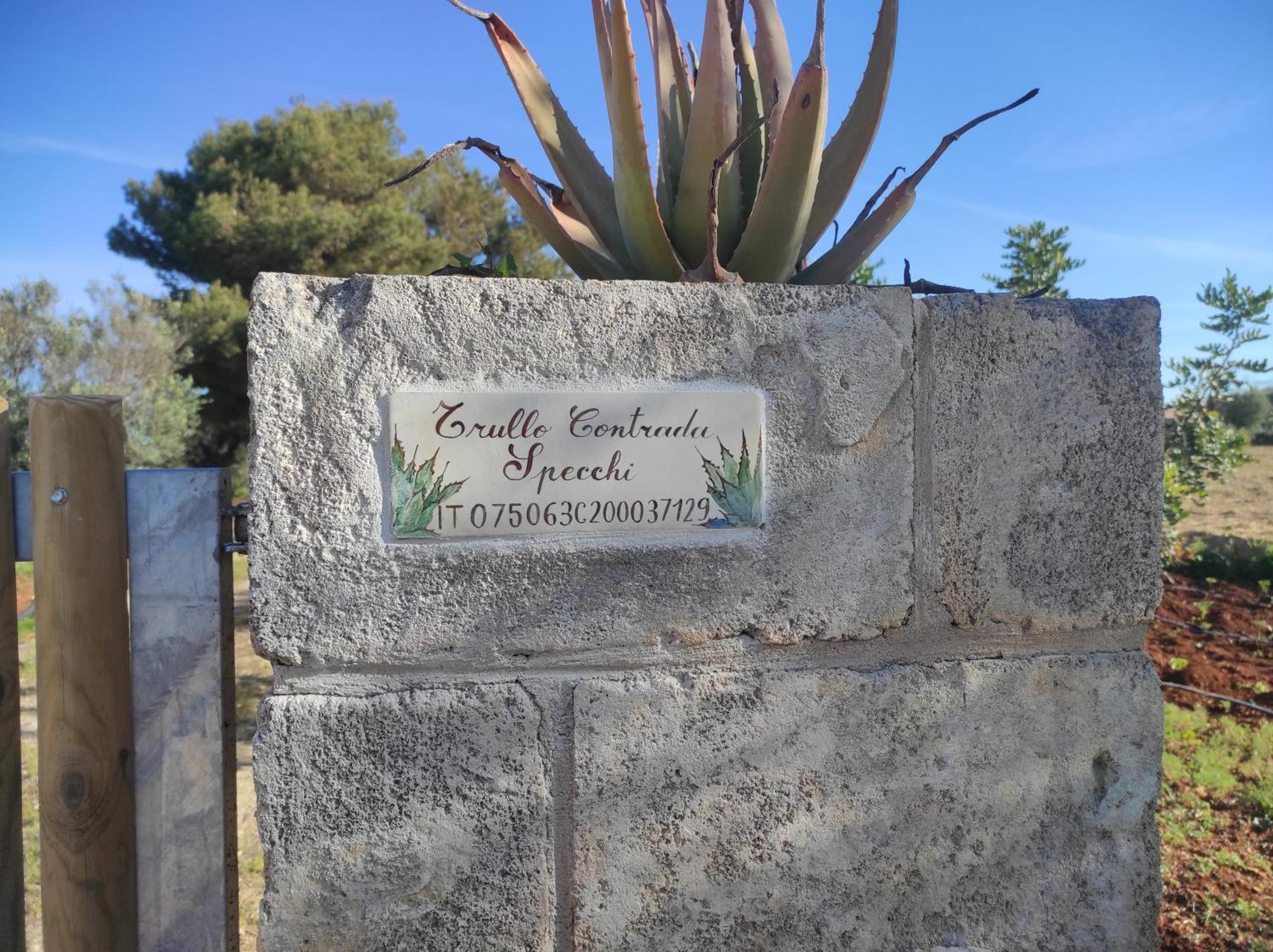 Trullo Contrada Specchi Διαμέρισμα Racale Εξωτερικό φωτογραφία