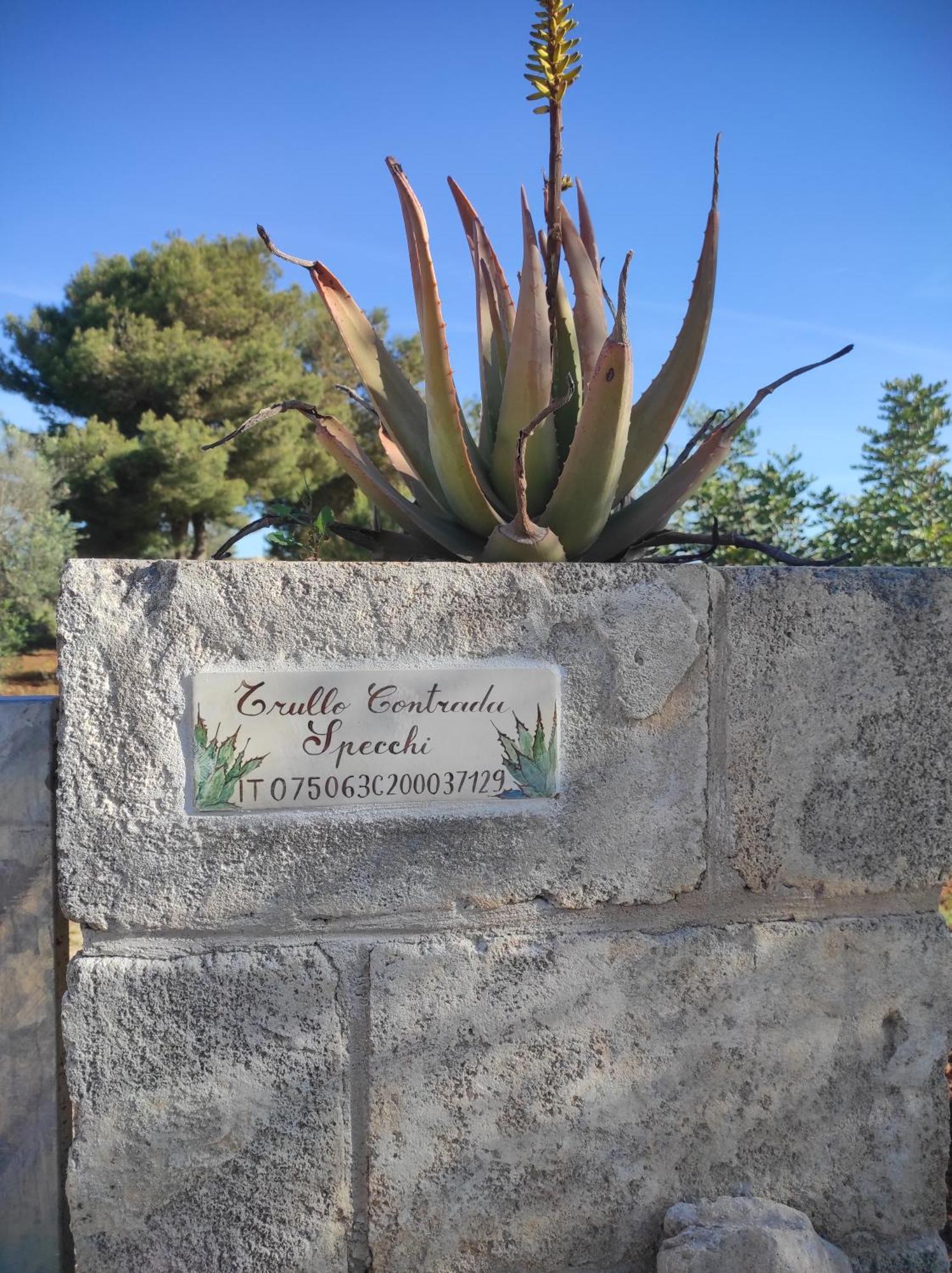 Trullo Contrada Specchi Διαμέρισμα Racale Εξωτερικό φωτογραφία