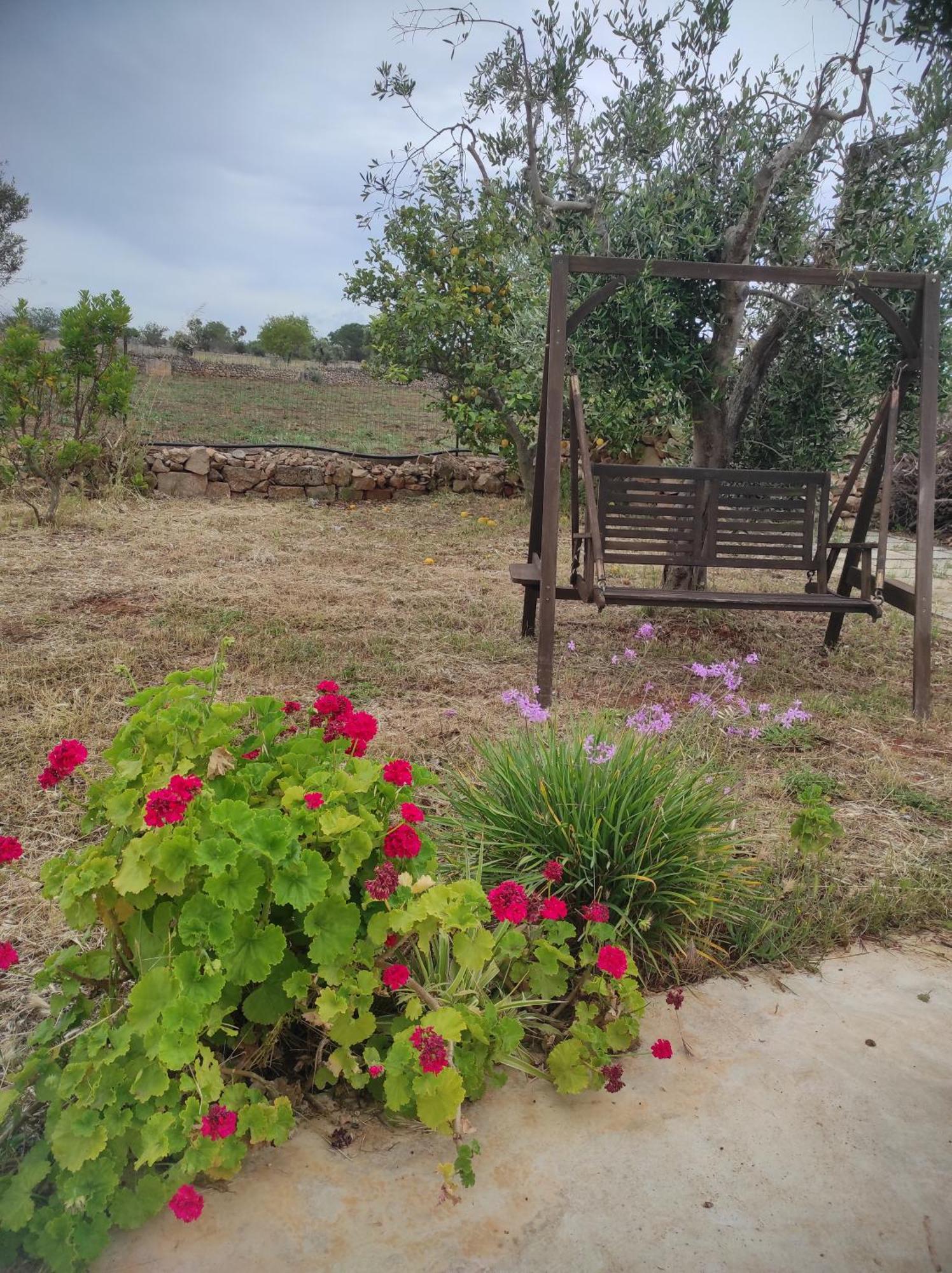 Trullo Contrada Specchi Διαμέρισμα Racale Εξωτερικό φωτογραφία